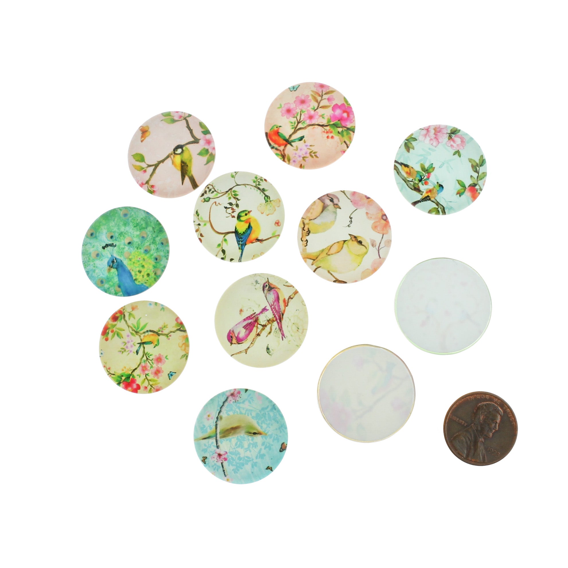 Assorted Floral Bird Glass Dome Cabochon Seals 25mm - 10 Pieces - CBD018
