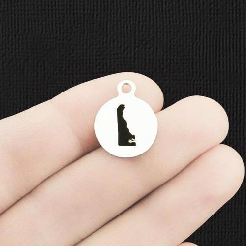 Delaware Stainless Steel Small Round Charms - BFS002-6281