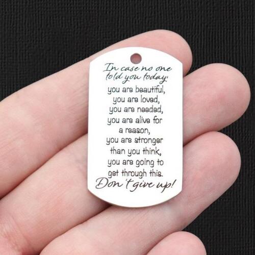 N'abandonnez pas les breloques Dog Tag en acier inoxydable - BFS024-7806