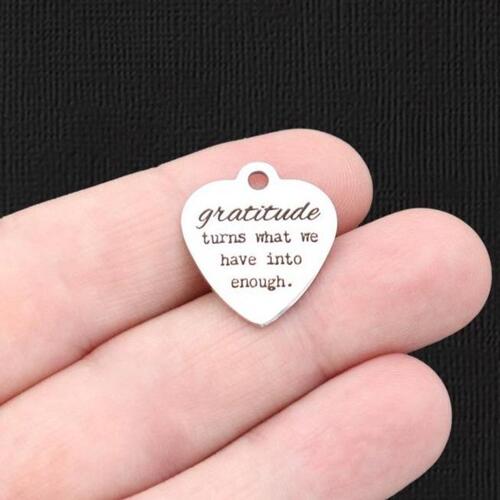 Charmes en acier inoxydable Gratitude - transforme ce que nous avons en assez - BFS011-5823