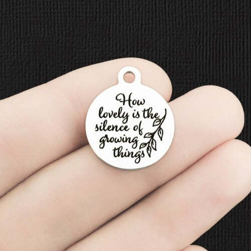 Comme les breloques en acier inoxydable sont belles - c'est le silence des choses qui poussent - BFS001-6609