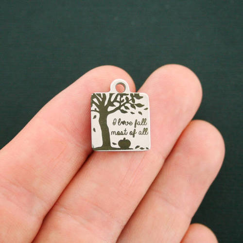 J'aime les breloques en acier inoxydable d'automne - surtout - BFS013-2785