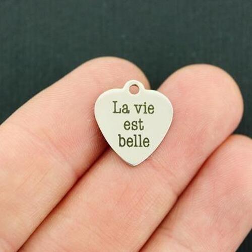 La vie est belle Stainless Steel Small Heart Charms - BFS012-4753