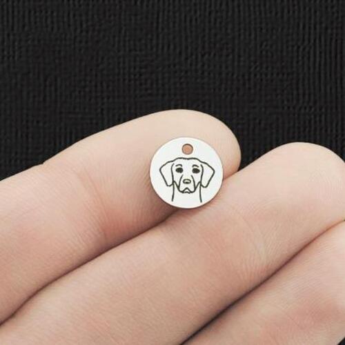 Lab Acier Inoxydable Breloques Rondes 10mm - BFS005-5995