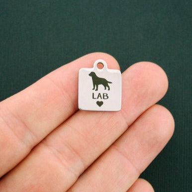 Charmes de laboratoire en acier inoxydable - BFS013-1342