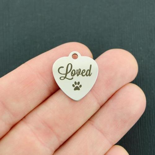 Charms en acier inoxydable adorés - BFS011-3697