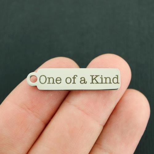 Breloques uniques en acier inoxydable - BFS015-6933