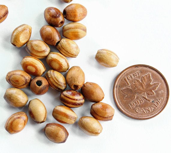 Oval Wood Beads 8mm x 5.5mm - Natural Light Brown - 35 Beads - BD507