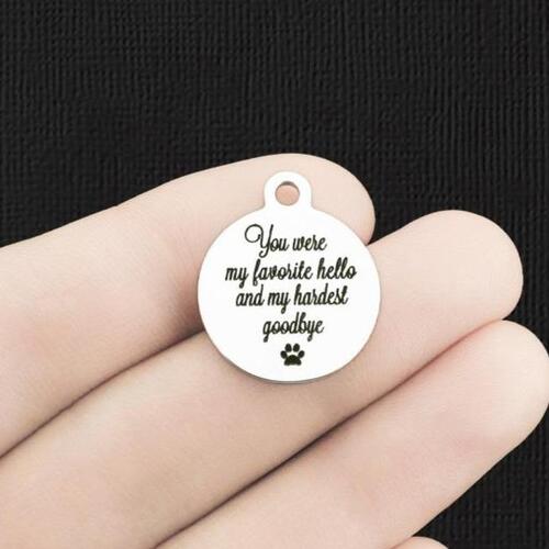 Pet Memorial Stainless Steel Charms - You were my favorite hello and my hardest goodbye - BFS001-6136
