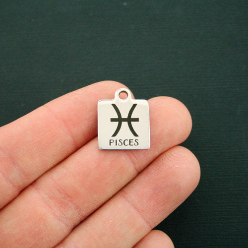 Pisces Stainless Steel Charms - BFS013-1745