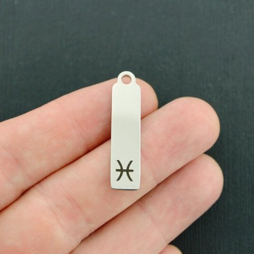 Pisces Zodiac Stainless Steel Charms - BFS015-7036