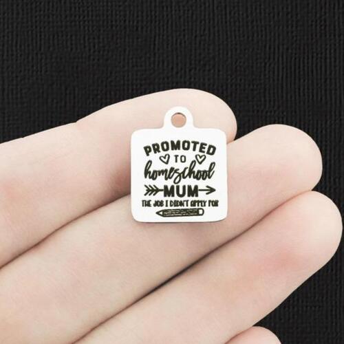 Promoted to Homeschool Mum Stainless Steel Charms - The job I didn't apply for - BFS013-6214