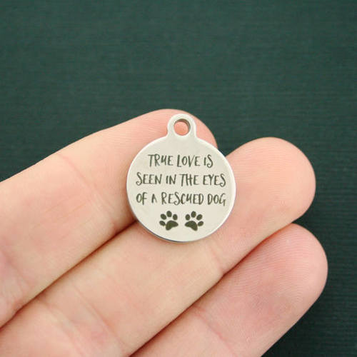Breloques en acier inoxydable Rescue - Le véritable amour se voit dans les yeux d'un chien sauvé - BFS001-1570