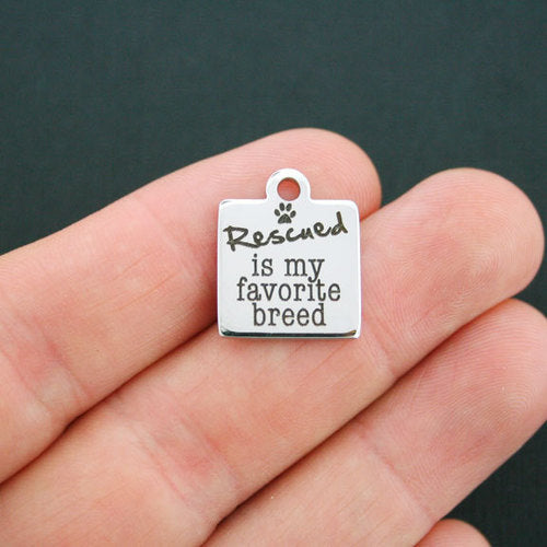 Rescued Stainless Steel Charms - is my favorite breed - BFS013-0622