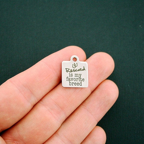 Breloques en acier inoxydable sauvées - est ma race préférée - BFS013-1222