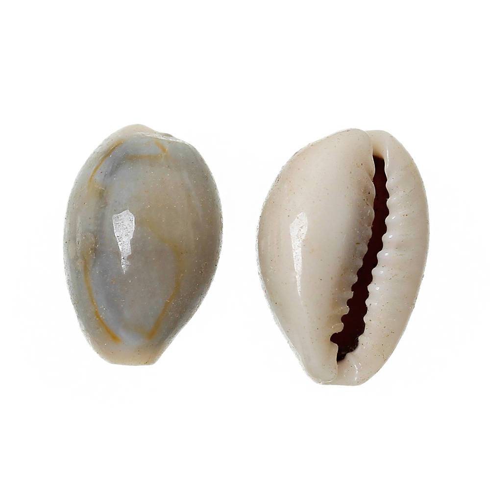 Shell Natural Beads 15mm x 10mm - Natural Creamy White - 25 Beads - BD565