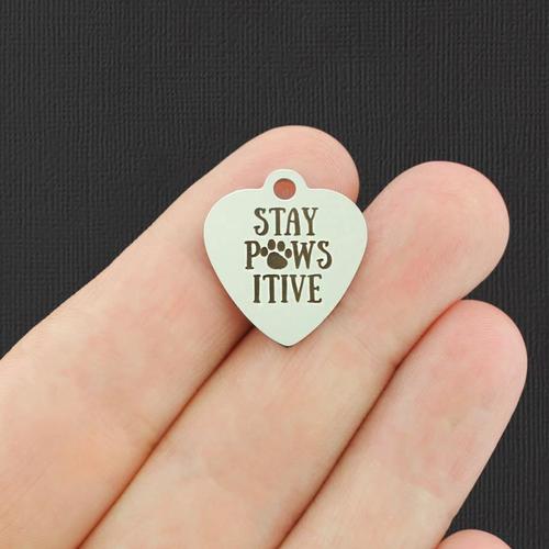 Stay Pawsitive Stainless Steel Charms - BFS011-4918
