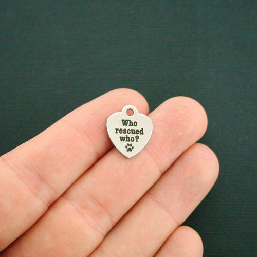 Who Rescued Who? Stainless Steel Small Heart Charms - BFS012-1842