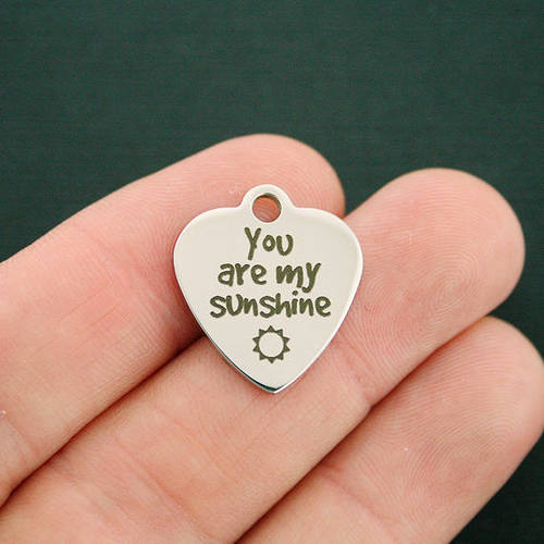 You are my Sunshine Stainless Steel Charms - BFS011-3188
