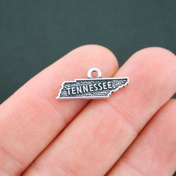 4 State Antique Silver Tone Charms - Choose Your State!