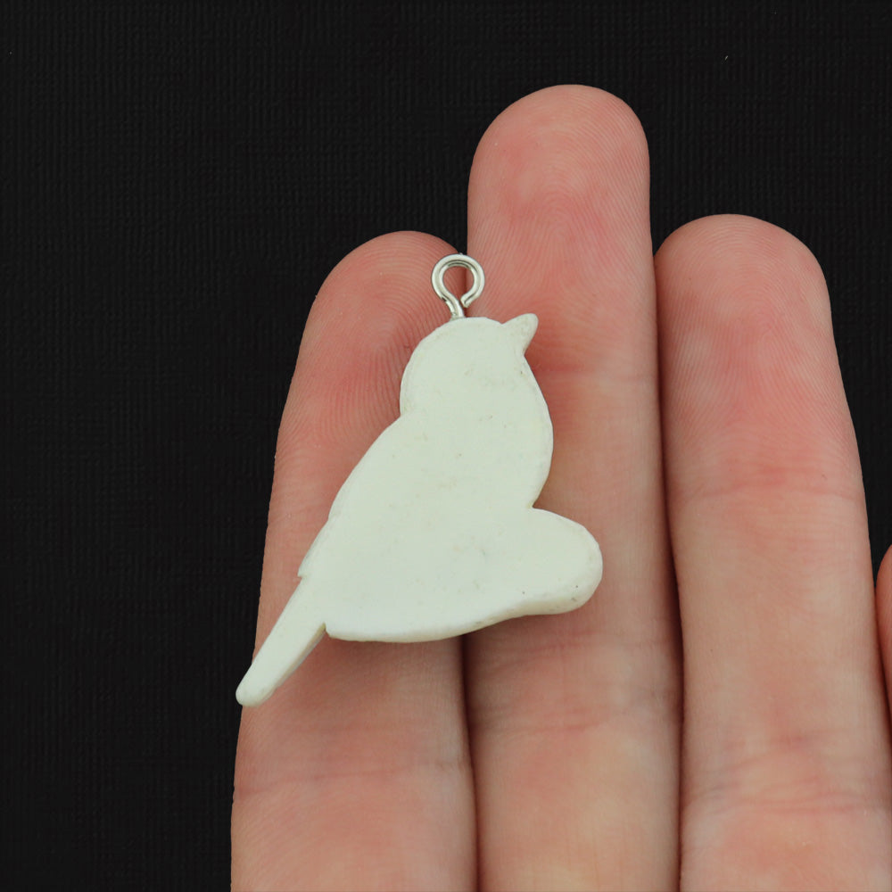 2 Chickadee Bird Resin Charms - K308