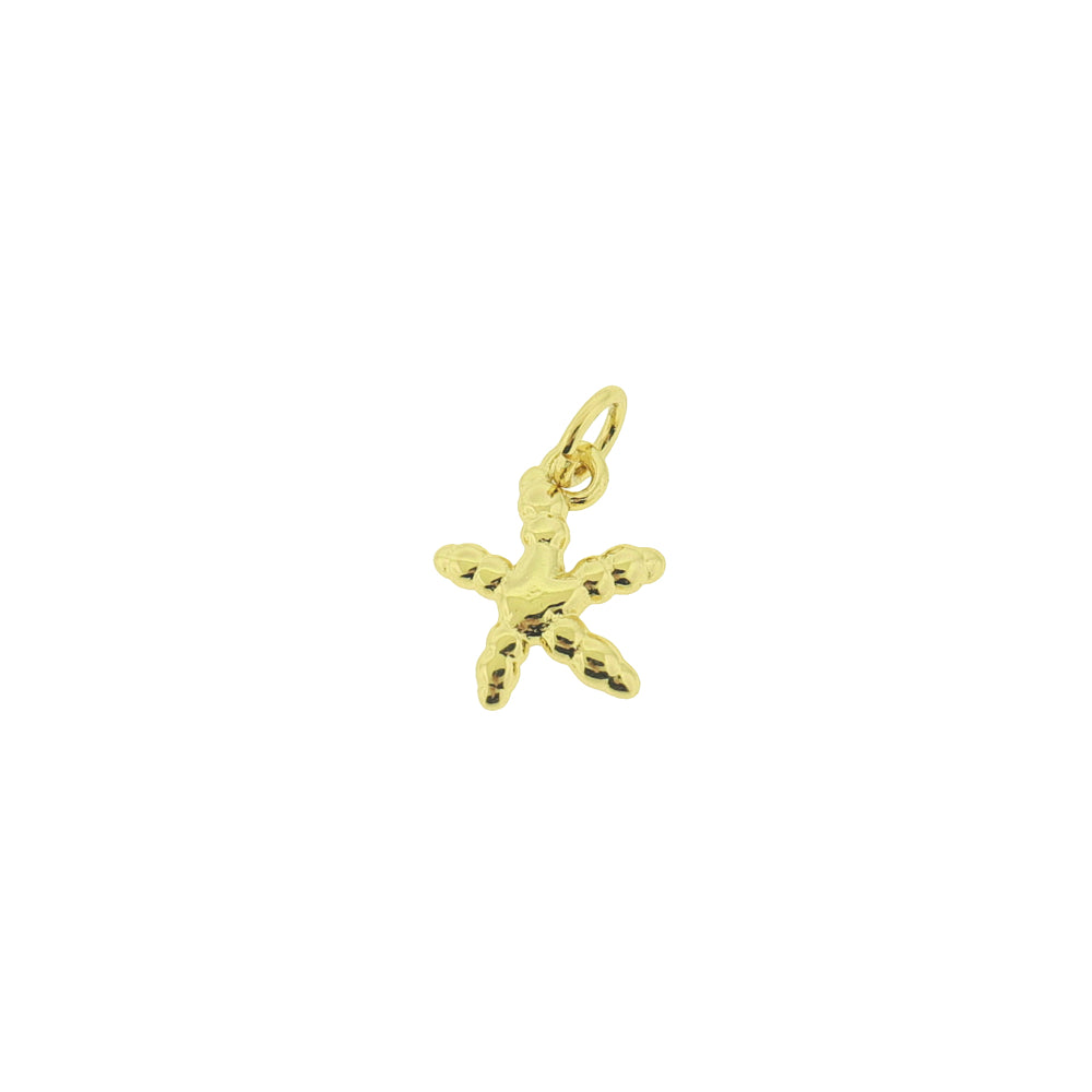 2 Starfish Gold Tone Brass Charms - BR054