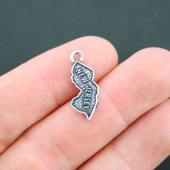 4 State Antique Silver Tone Charms - Choose Your State!