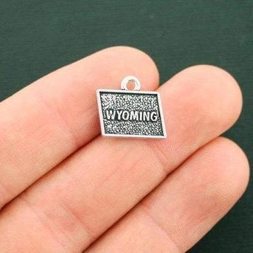 4 State Antique Silver Tone Charms - Choose Your State!