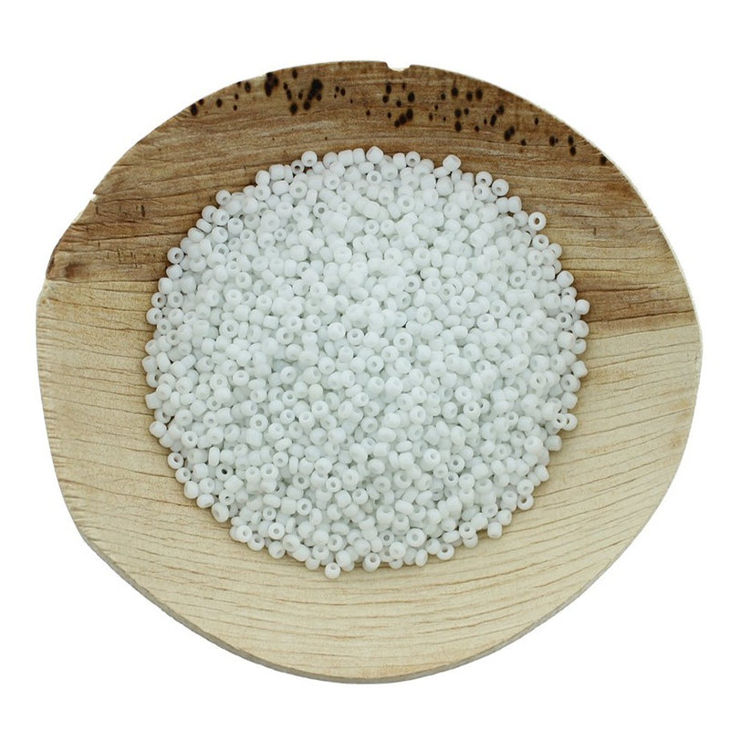 1200 Seed Glass Beads - 10/0 2mm -50 grams - Choose Your Color!
