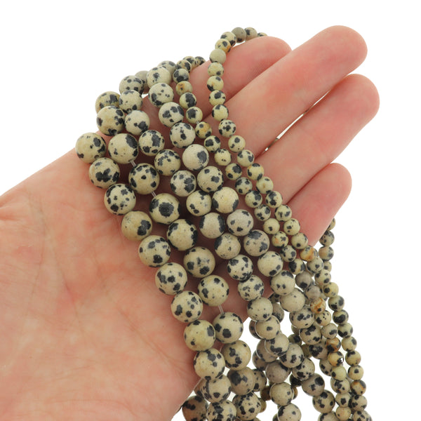 Round Natural Dalmatian Beads 4mm - 8mm - Choose Your Size - Black and Ivory - 1 Full Strand - BD3015