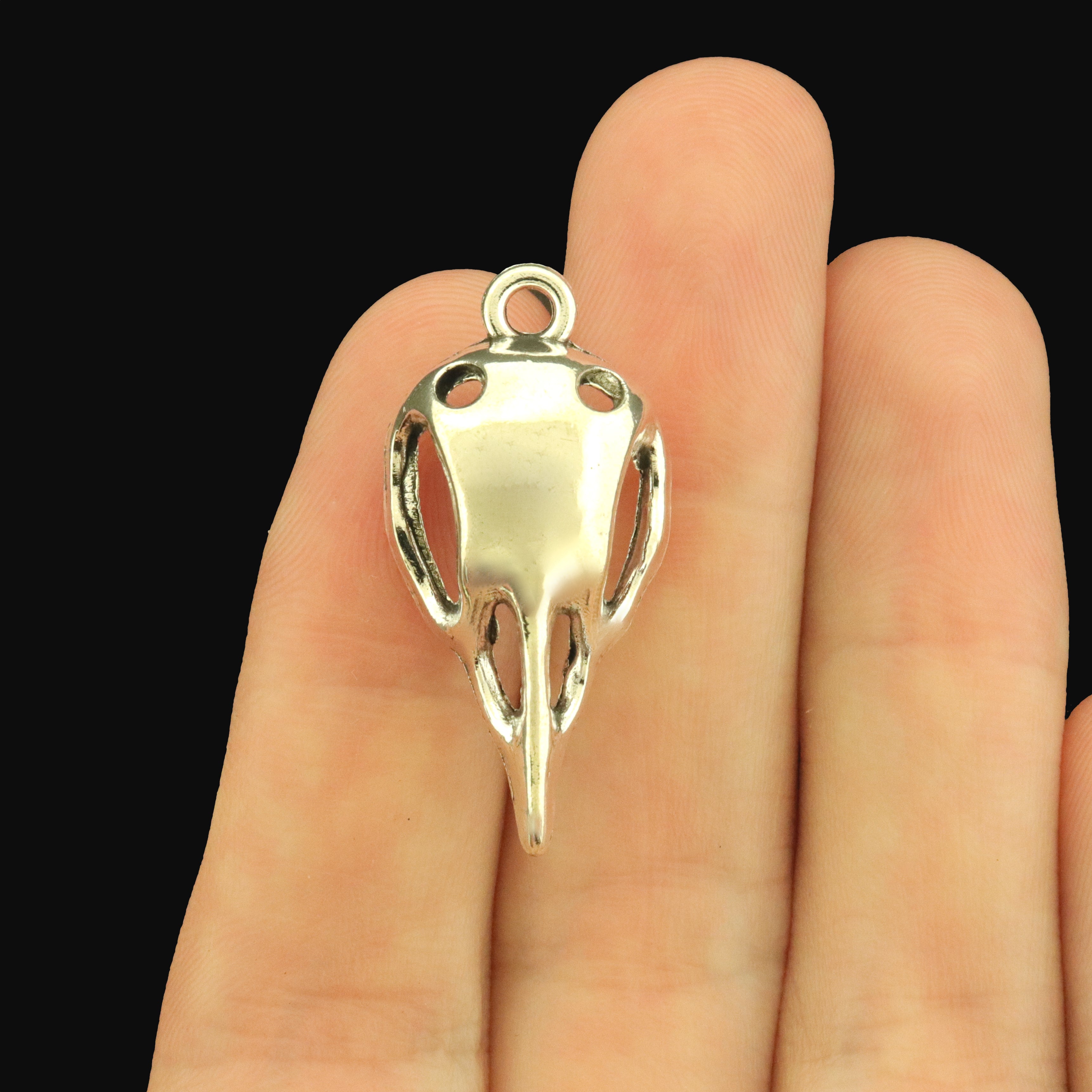 6 Bird Skull Smooth 3D Antique Silver Tone Charms - SC503