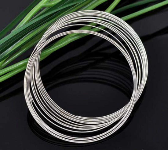 Stainless Steel Memory Wire - 200 Loops - 0.6mm Thick - Z299