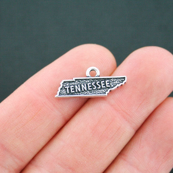 4 Tennessee State Antique Silver Tone Charms 2 Sided - SC5211