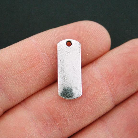 10 Brave Antique Silver Tone Charms - SC4510
