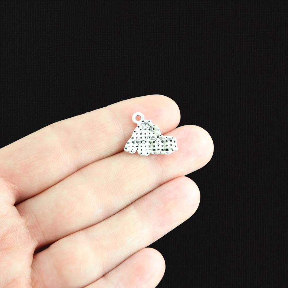 10 Car Antique Silver Tone Charms - SC2480