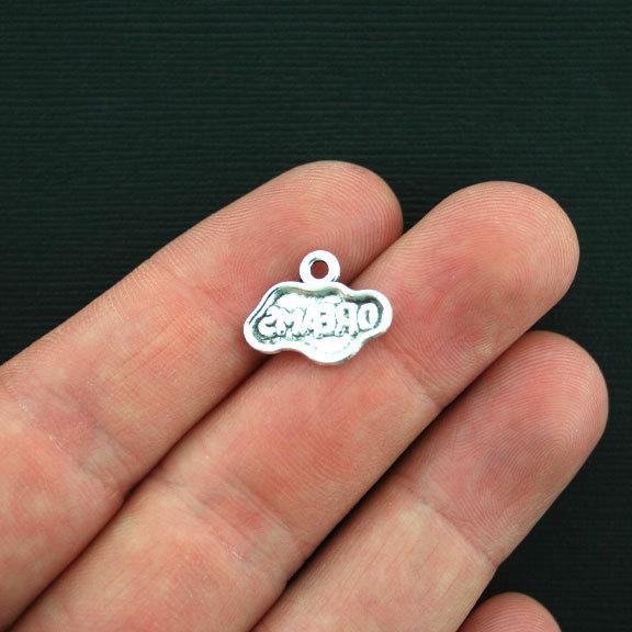 10 Dream Antique Silver Tone Charms - SC3031
