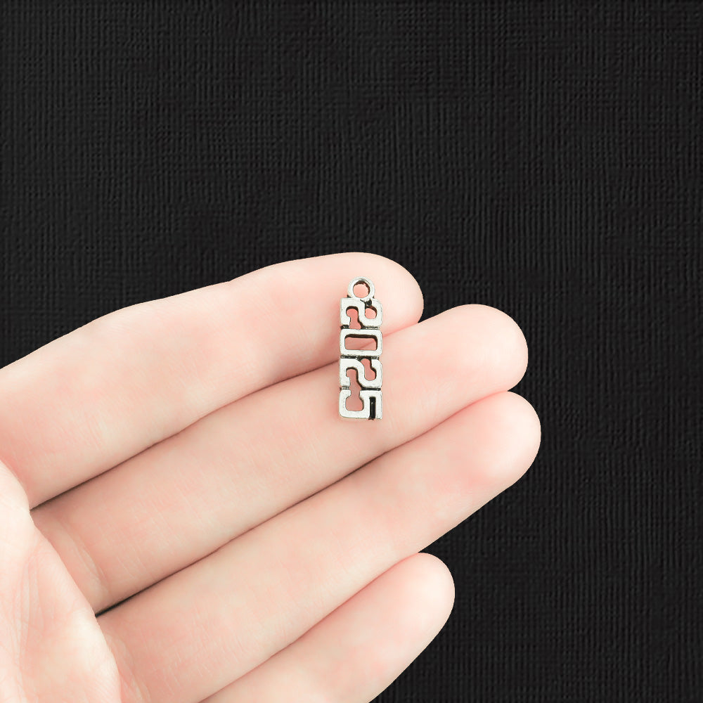 10 Year 2025 Antique Silver Tone Charms - SC2238