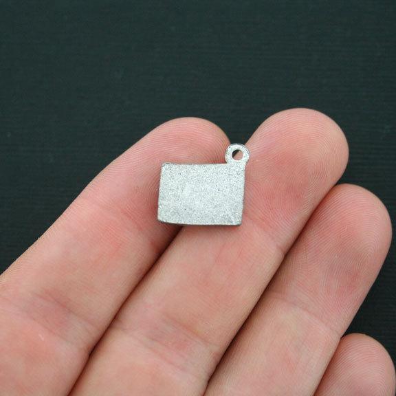 10 Birth Certificate Antique Silver Tone Charms - SC4224