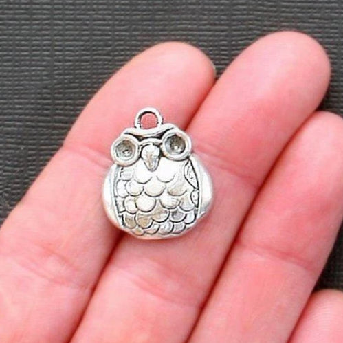 10 Owl Antique Silver Tone Charms - SC1505