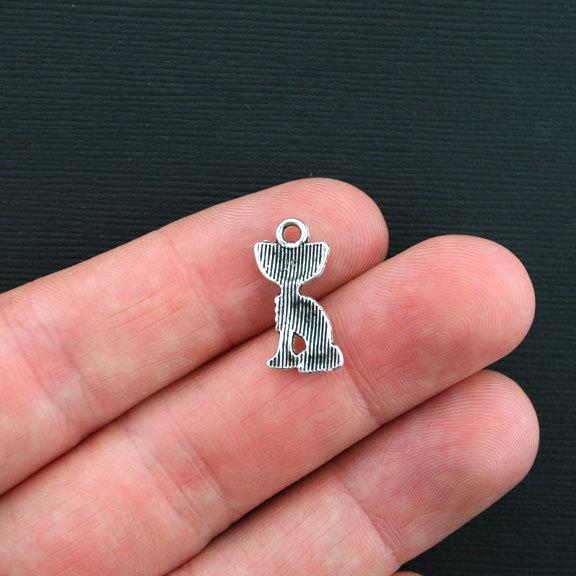 10 Cupbearer Antique Silver Tone Charms - SC1404
