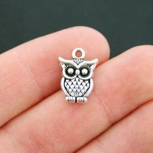 10 Owl Antique Silver Tone Charms - SC2292