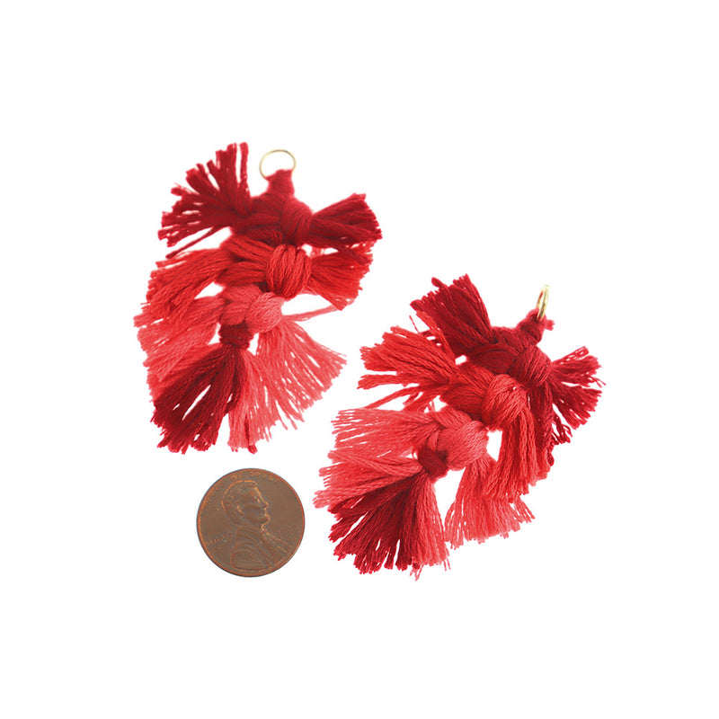 Pompon Feuille Polyester 60mm - Ombre Rouge - 2 Pièces - TSP039