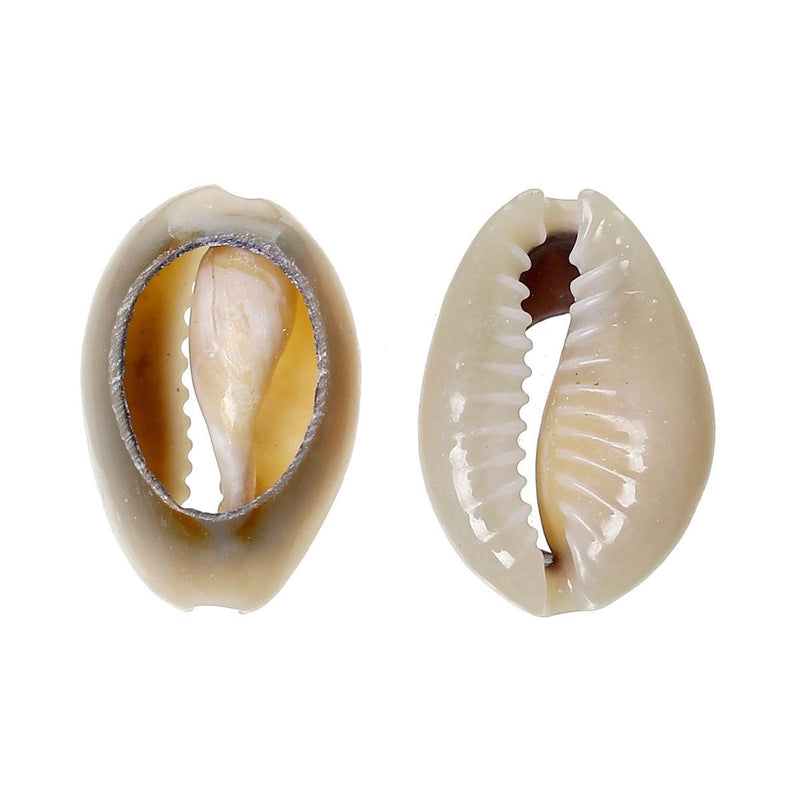 Perles de coquillage naturel tailles assorties - gris sourds - 15 perles - BD631