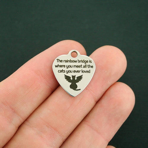 Cat Memorial Stainless Steel Charms - The rainbow bridge is where you meet all of the cats you ever loved - BFS011-1834