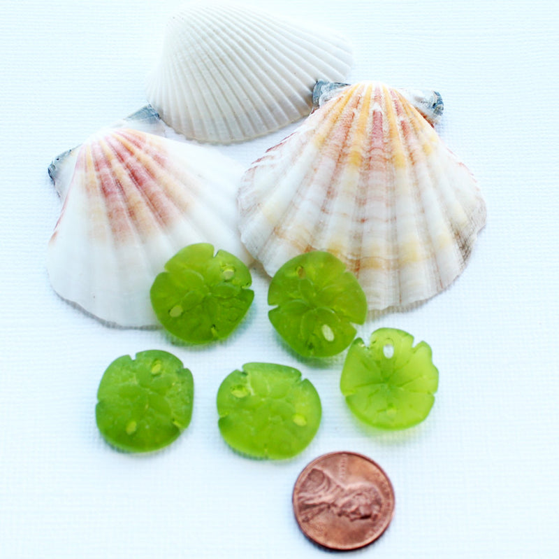 2 breloques en verre de mer de culture dollar des sables verts - U032