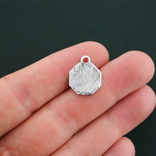 SALE 4 Stop Global Warming Antique Silver Tone Charms - SC1238