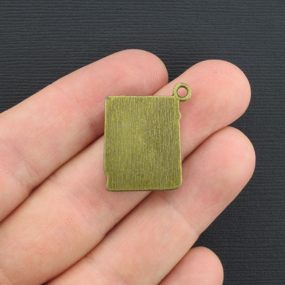 2 Livre Antique Bronze Tone Charms - BC003