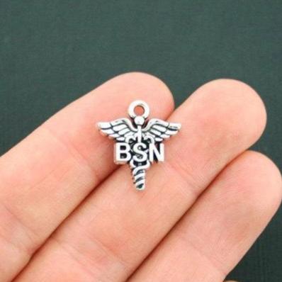 2 BSN Antique Silver Tone Charms - SC5503