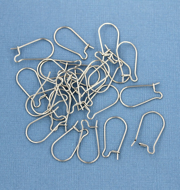Stainless Steel Earrings - Kidney Style Hooks - 20mm x 10.5mm - 20 Pieces 10 Pairs - Z693