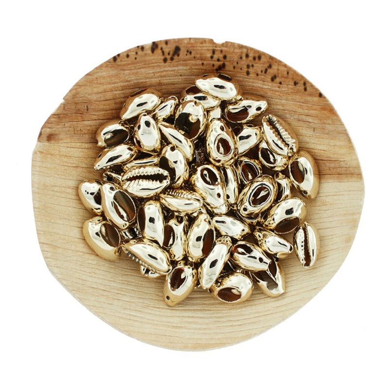 5 Natural Cowrie Shell Gold Plated Charms 3D - BD2462